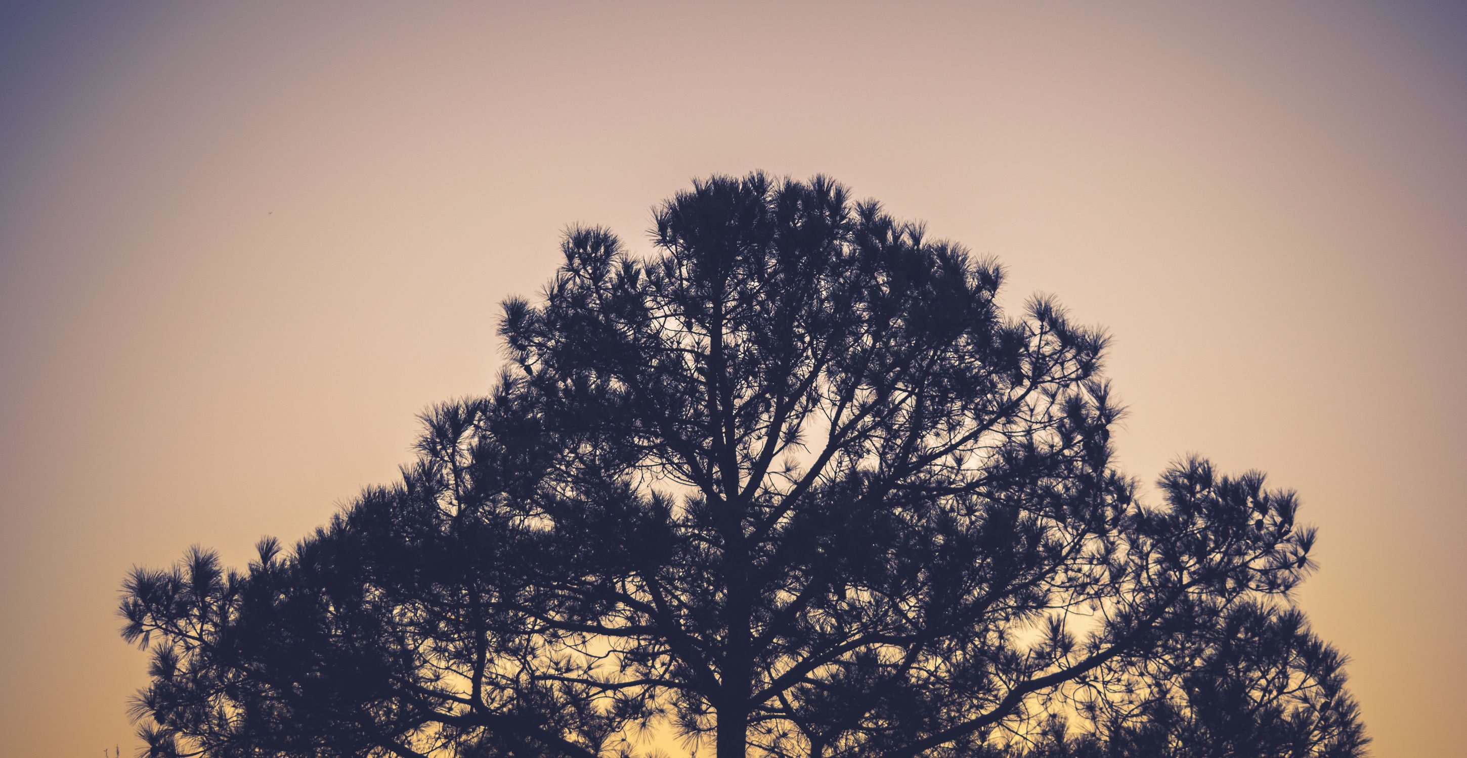 No fee to Opt out of Unified Patent Court